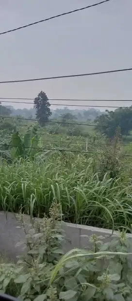 Tanah di Cikande Luas 14 Hektar, Lokasi Bagus