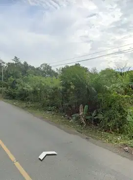 Dijual Tanah Poros Jalan Soekarno Hatta Gerbang IKN