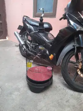 Sangkar new+plecinya