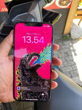 Iphone 12 promax 128 ex inter