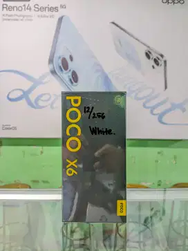 Poco X6  12/256