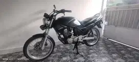 Tiger lama 2000