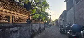 Tanah bisa beli 1 are Jln Bedugul Sidakarya dekat kampus Undiknas