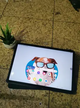 Samsung tab S8 5G Nominus