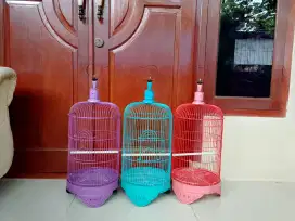 Kandang pleci 4