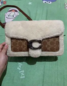 Coach tabby fur