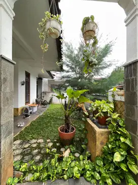 JUAL RUMAH LEBAK BULUS  GOOD DEALS