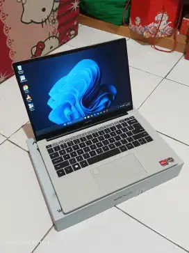 Advan Workplus Ryzen 5 6600H 16/512