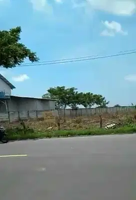 Dijual Tanah zona Industri siap bangun Lokasi Tuban jawa timur