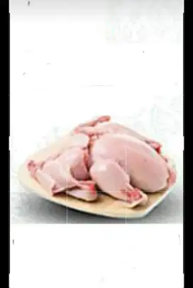FREELAND PENGHASILAN TAMBAHAN