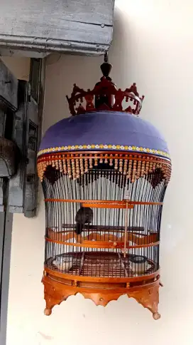 Sangkar perkutut lawasan