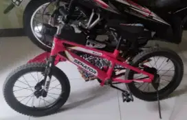 Sepeda anak senator