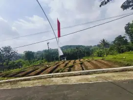 TANAH MURAH KARANGPANDAN