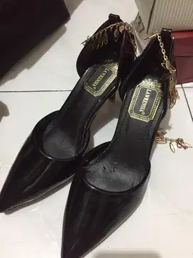 Heels lawrensia