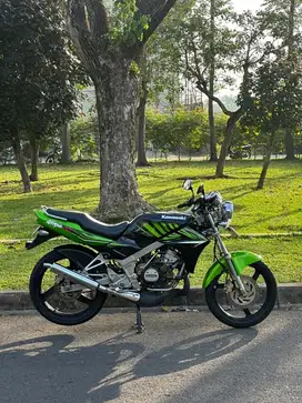 Ninja SS Zebra 2015
