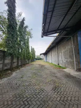 Gudang margomulyo indag bebas bajir murah