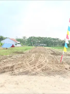 Tanah Kavling Darat Strategis & Jarang Ada Di Desa Dukuhtengah Brebes