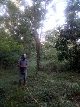 Di Jual Murah Tanah SHM Daerah Karawang