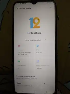 Vivo v2030 Ram 8