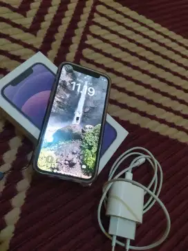 iPhone 12 mini orian semua