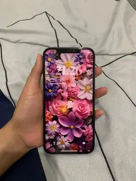 Iphone 12 pro max 256 gb