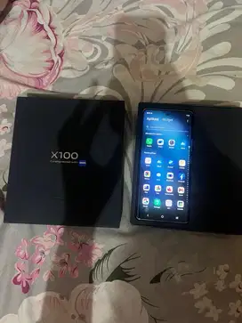 Vivo X100 5G 12/256