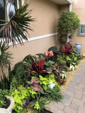 Jasa pembuatan taman rumah outdoor cantik
