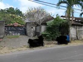Di jual Tanah& Bangunannya  Lokasi di Jalan utama Pantai Mengening