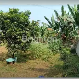 TANAH MURAH DICISEENG BOGOR AKSES MUDAH INVESTASI MENGUNTUNGKAN