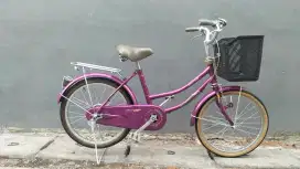 Sepeda mini jieyang