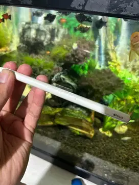 Apple Pencil Gen 2, mulus