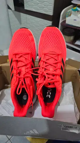 Sepatu Adidas Running EQ21