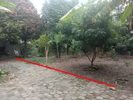 Jual Tanah di Rejowinangun Yogyakarta dkt jln Aspal