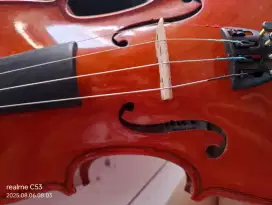 Biola/violin stainer uk 1/2 Germany