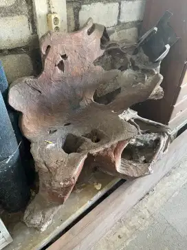 Kursi dari akar kayu
