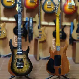 Gitar Schecter Sustainer