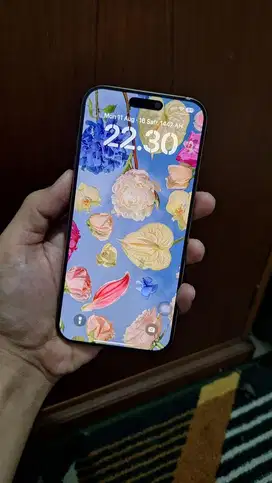 Iphone 16 Pro Max 256 Wifi Only