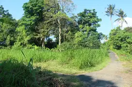 DIJUAL 6 KAVLING TANAH SHM GLOBAL DI PERMATA PERING - GIANYAR