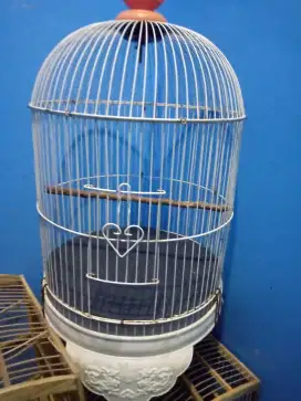 kandang lovebird tanggung