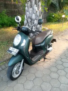 Scoopy stylish Hijau 2023