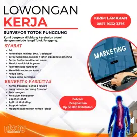 Lowongan kerja Surveyor Totok Punggung