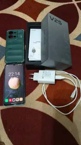 Vivo V25 8/256 Hijau