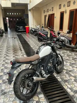 Yamaha xsr 2021