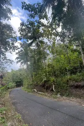 Tanah 1 hektare Pinggir Jalan Jogja