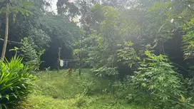 Tanah Murah Belakang Umy