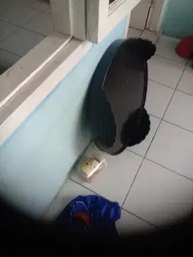 Tebok sangkar murai no 2