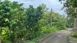 Tanah murah Krebet jogja