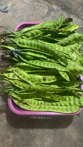 Jual pete per ikat 30 ribu