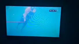 TV LED 32 Inch.