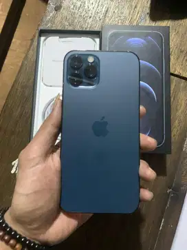 Iphone 12 pro 256gb beacukai